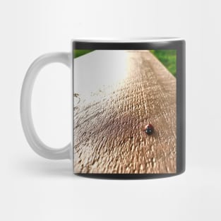 Ladybird Mug